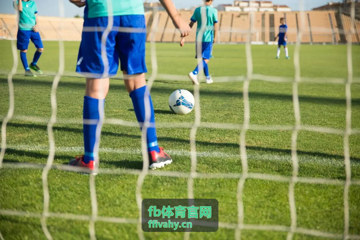 fb体育官网比分数据说明卡片